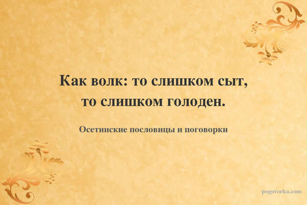 Как волк: то слишком сыт, то слишком голоден.