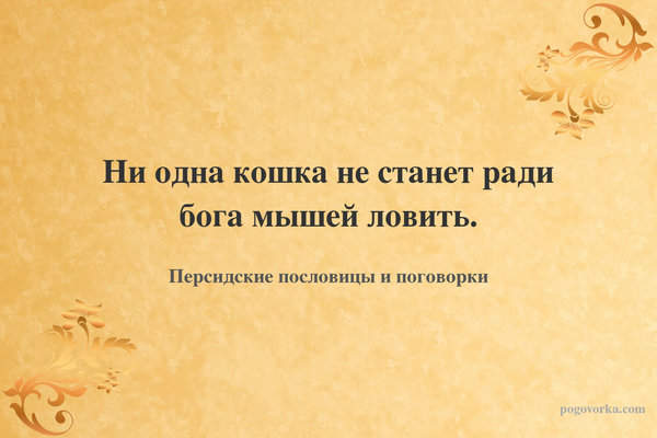 Ни одна кошка не станет ради бога мышей ловить.