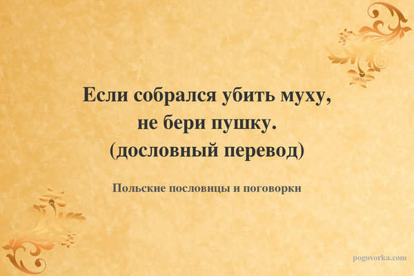 Если собрался убить муху, не бери пушку. (дословный перевод)