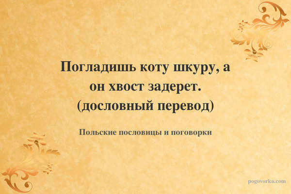 Погладишь коту шкуру, а он хвост задерет. (дословный перевод)