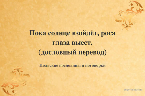 Пока солнце взойдёт, роса глаза выест. (дословный перевод)