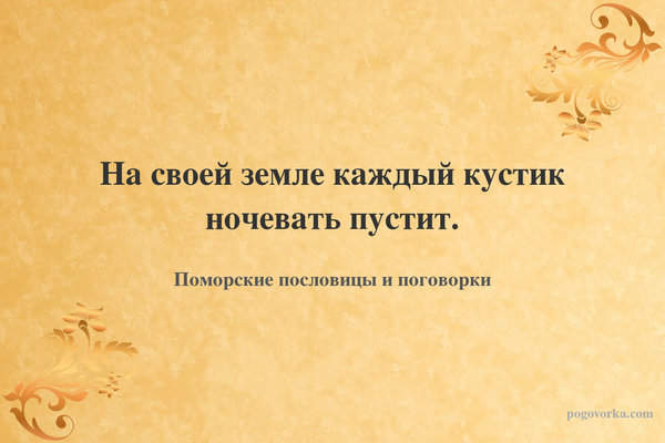 На своей земле каждый кустик ночевать пустит.