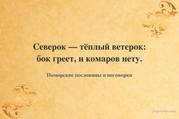 Северок — тёплый ветерок: бок греет, и комаров нету.