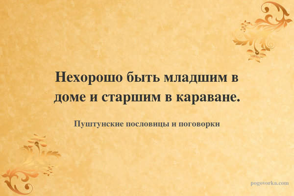 Нехорошо быть младшим в доме и старшим в караване.