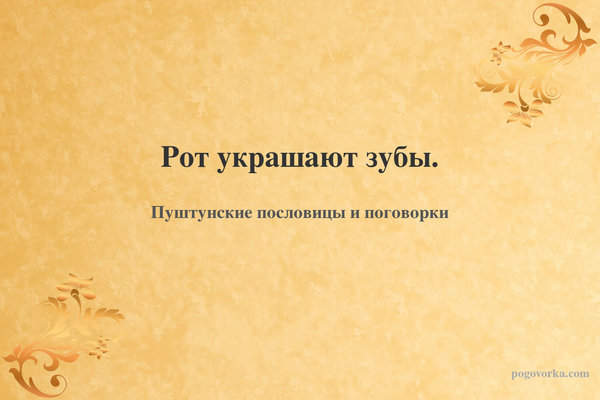 Рот украшают зубы.