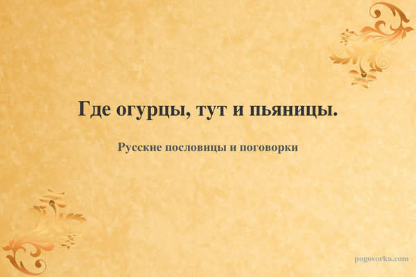 Где огурцы, тут и пьяницы.