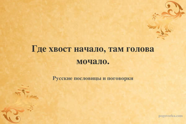 Где хвост начало, там голова мочало.