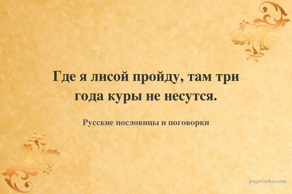 Где я лисой пройду, там три года куры не несутся.