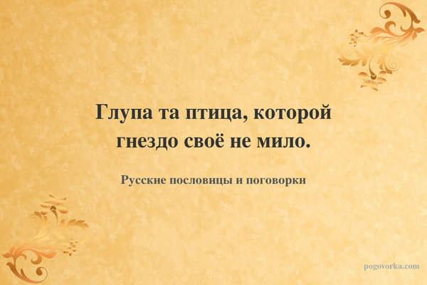 Глупа та птица, которой гнездо своё не мило.