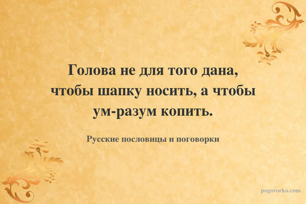 Голова не для того дана, чтобы шапку носить, а чтобы ум-разум копить.