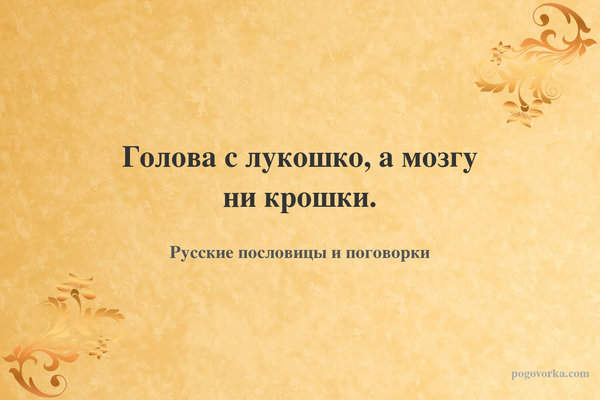 Голова с лукошко, а мозгу ни крошки.