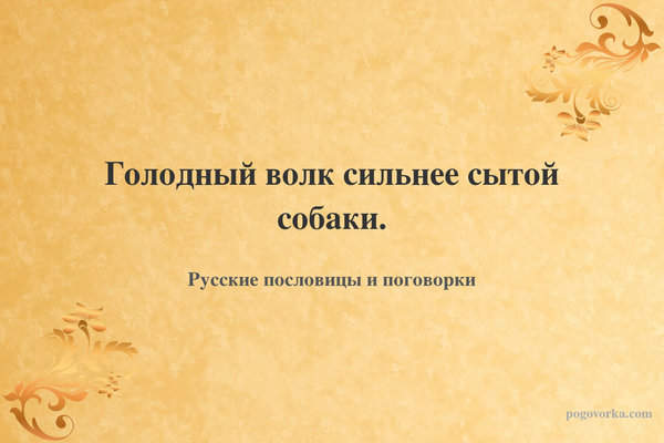 Голодный волк сильнее сытой собаки.