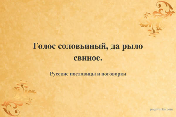 Голос соловьиный, да рыло свиное.