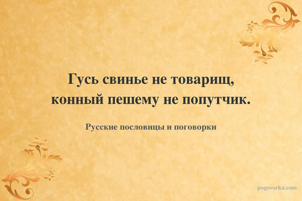 Гусь свинье не товарищ, конный пешему не попутчик.