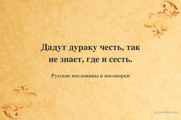 Дадут дураку честь, так не знает, где и сесть.