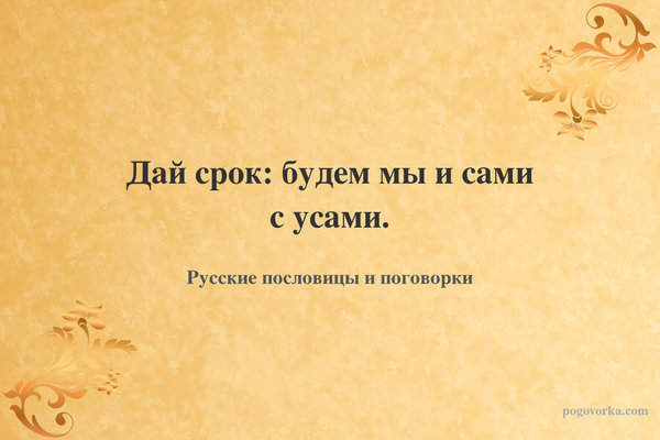 Дай срок: будем мы и сами с усами.