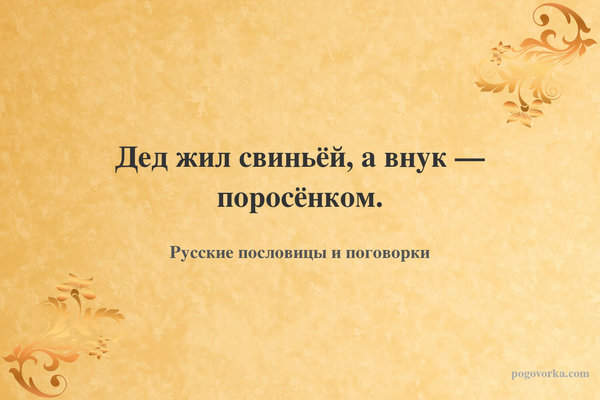 Дед жил свиньёй, а внук — поросёнком.