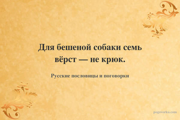 Для бешеной собаки семь вёрст — не крюк.