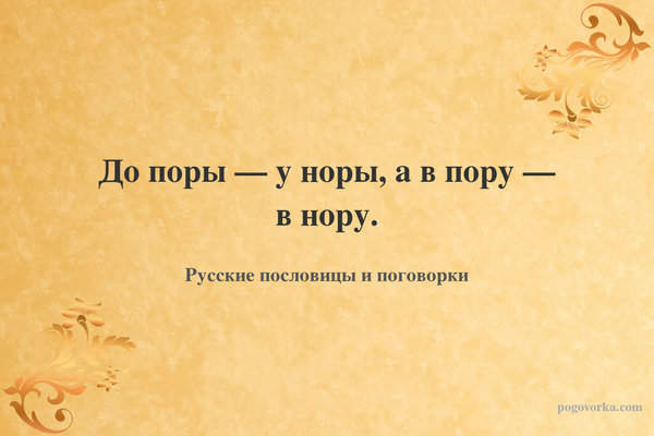 До поры — у норы, а в пору — в нору.