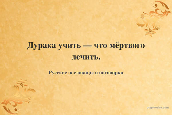Дурака учить — что мёртвого лечить.