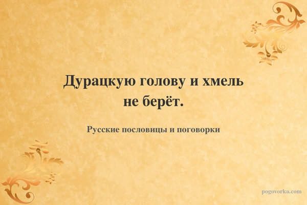 Дурацкую голову и хмель не берёт.