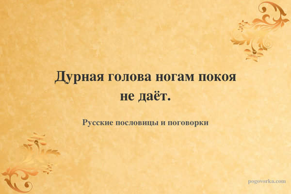 Дурная голова ногам покоя не даёт.