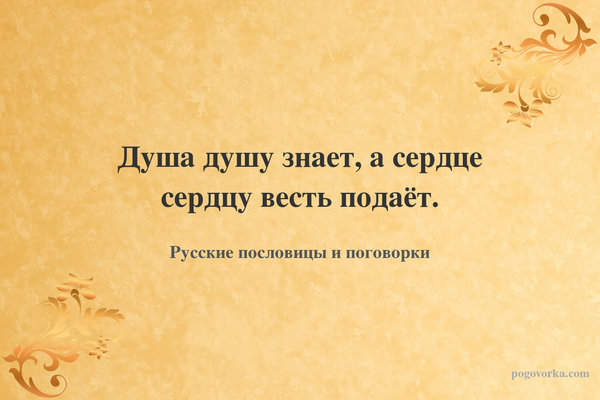 Душа душу знает, а сердце сердцу весть подаёт.