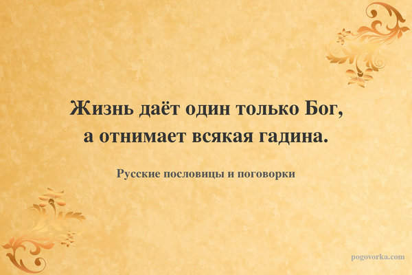 Жизнь даёт один только Бог, а отнимает всякая гадина.