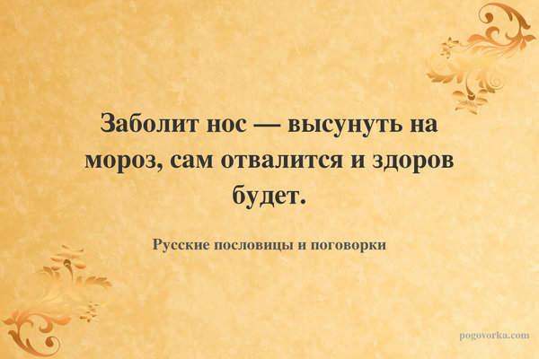 Заболит нос — высунуть на мороз, сам отвалится и здоров будет.