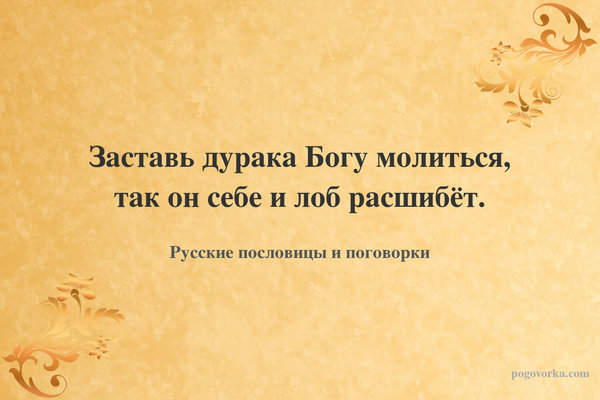 Заставь дурака Богу молиться, так он себе и лоб расшибёт.