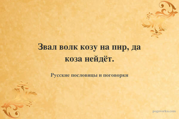 Звал волк козу на пир, да коза нейдёт.