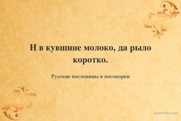 И в кувшине молоко, да рыло коротко.