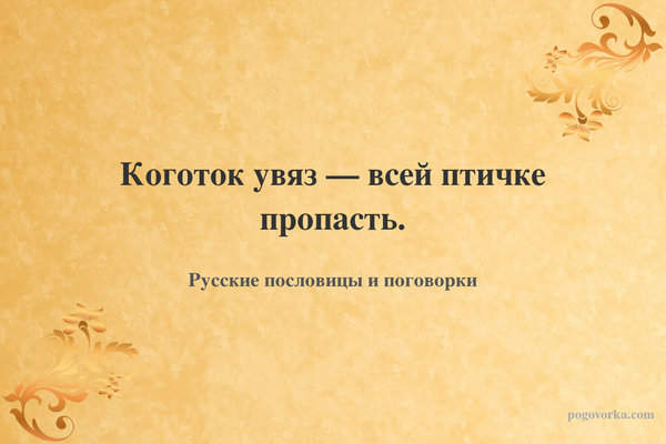 Коготок увяз — всей птичке пропасть.