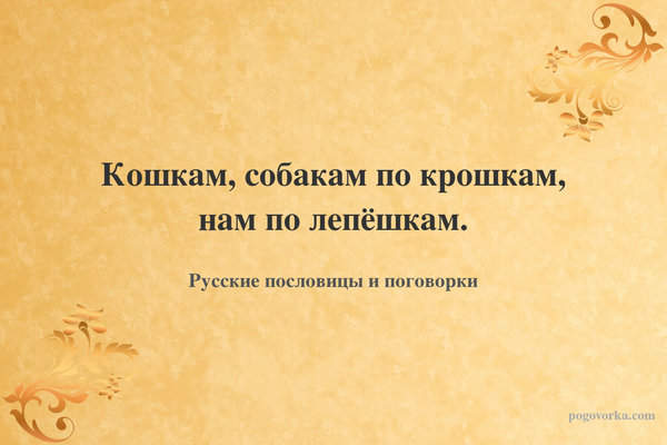 Кошкам, собакам по крошкам, нам по лепёшкам.