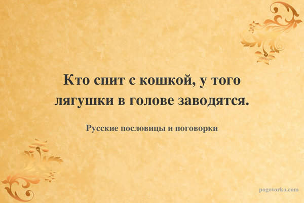 Кто спит с кошкой, у того лягушки в голове заводятся.
