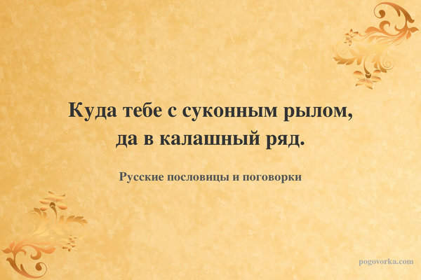 Куда тебе с суконным рылом, да в калашный ряд.