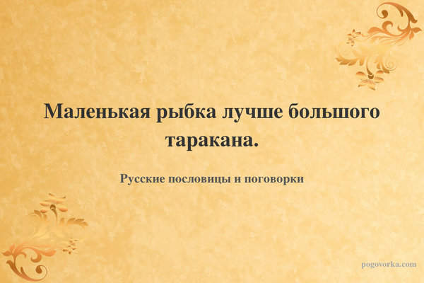 Маленькая рыбка лучше большого таракана.