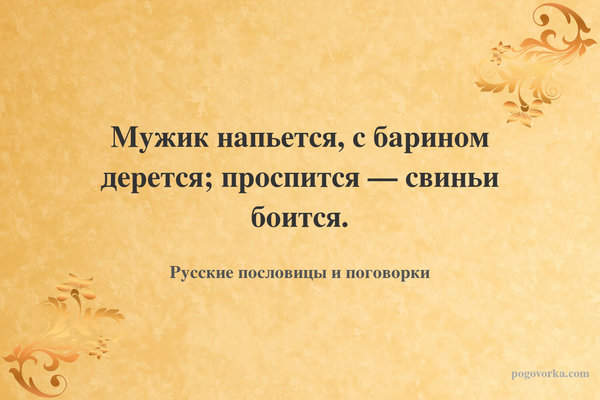 Мужик напьется, с барином дерется; проспится — свиньи боится.