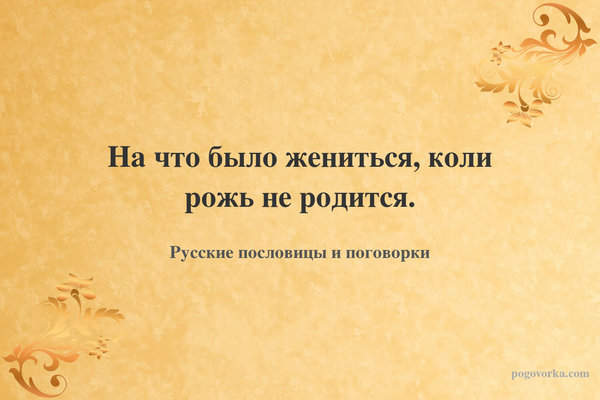 На что было жениться, коли рожь не родится.