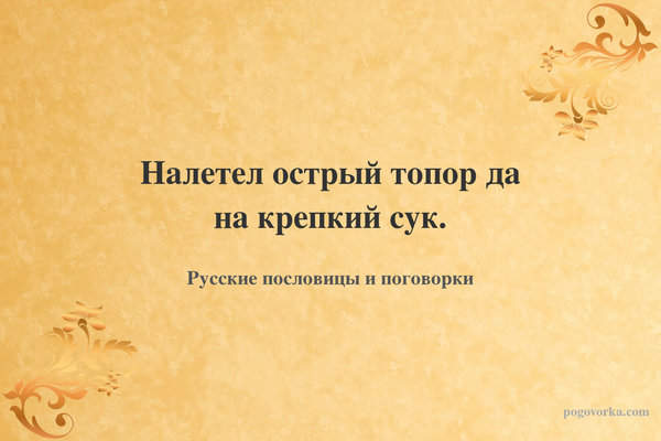 Налетел острый топор да на крепкий сук.