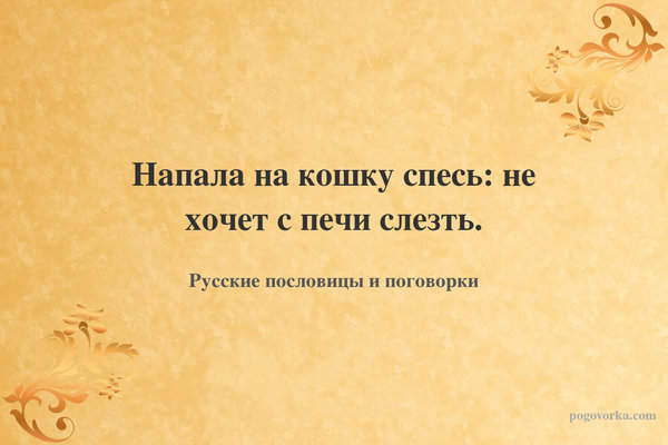 Напала на кошку спесь: не хочет с печи слезть.