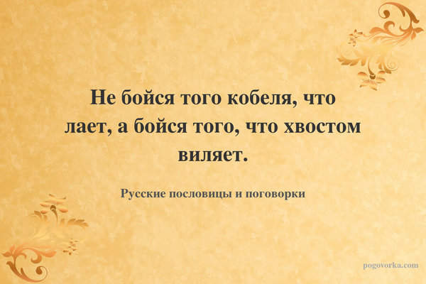 Не бойся того кобеля, что лает, а бойся того, что хвостом виляет.