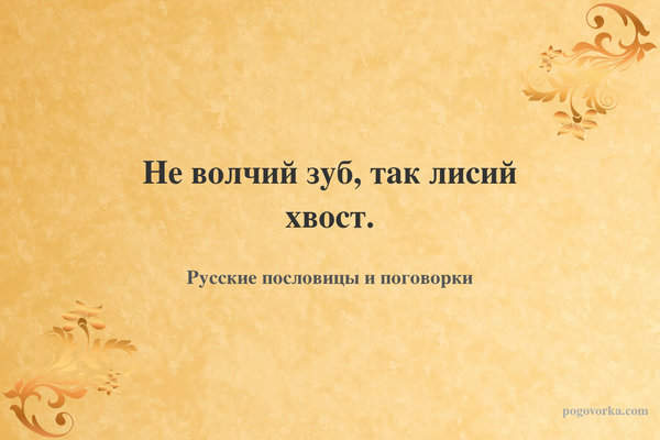 Не волчий зуб, так лисий хвост.