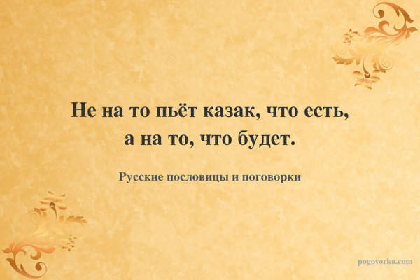 Не на то пьёт казак, что есть, а на то, что будет.