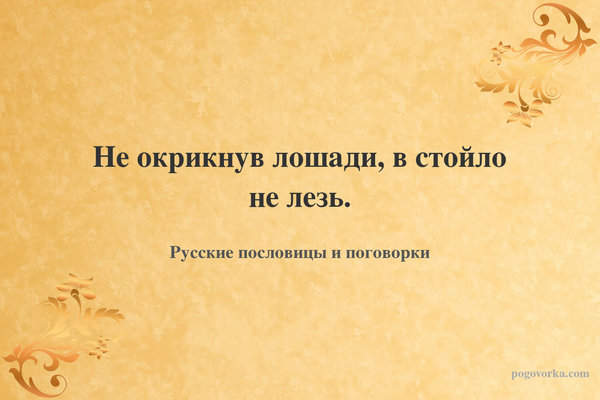 Не окрикнув лошади, в стойло не лезь.
