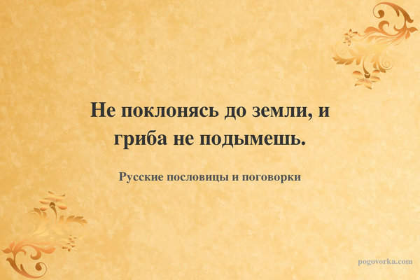 Не поклонясь до земли, и гриба не подымешь.