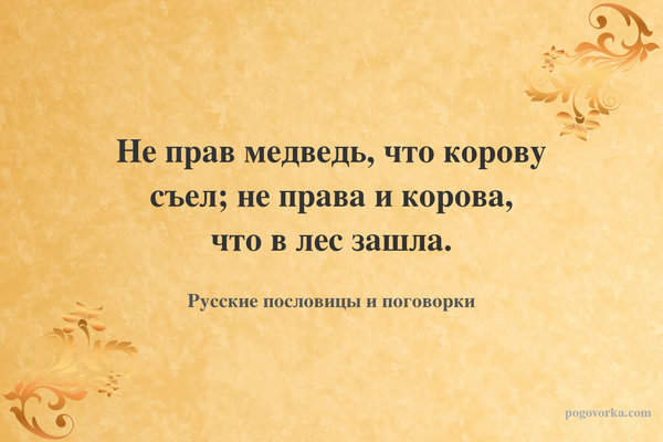 Не прав медведь, что корову съел; не права и корова, что в лес зашла.