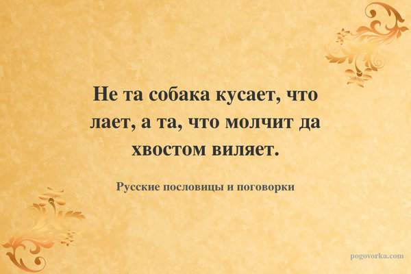 Не та собака кусает, что лает, а та, что молчит да хвостом виляет.