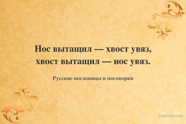 Нос вытащил — хвост увяз, хвост вытащил — нос увяз.