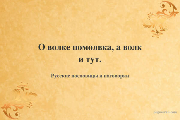 О волке помолвка, а волк и тут.